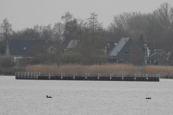 Westereen - Friesland